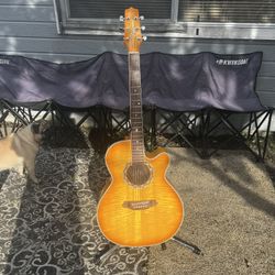 Takamine Pt-510-Fm