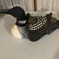 Loon With Babies