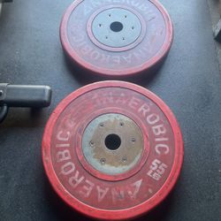 55 lbs  Olympic Bumper Weight Plates…. Home Gym Fitness….
