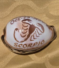 Vintage 1980s Scorpio Zodiac Hand Carved Cowrie Shell.