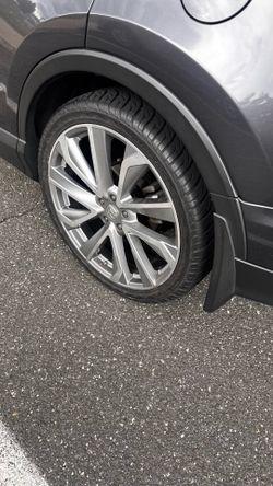 22 rims