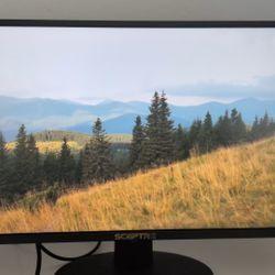 Sceptre monitor