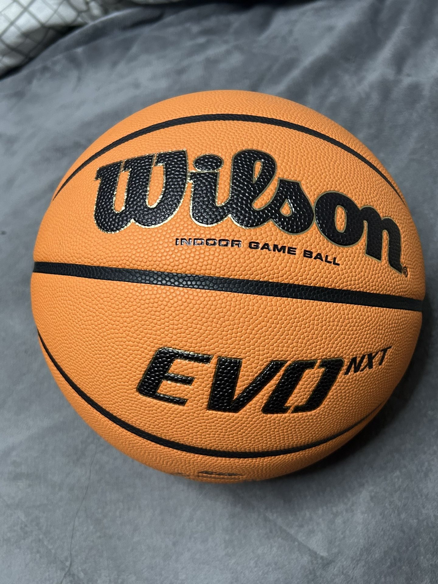 Wilson Evo NXT Basketball