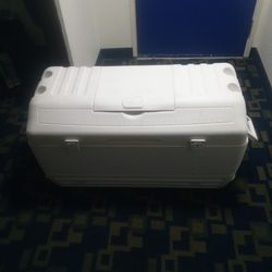 Igloo Cooler