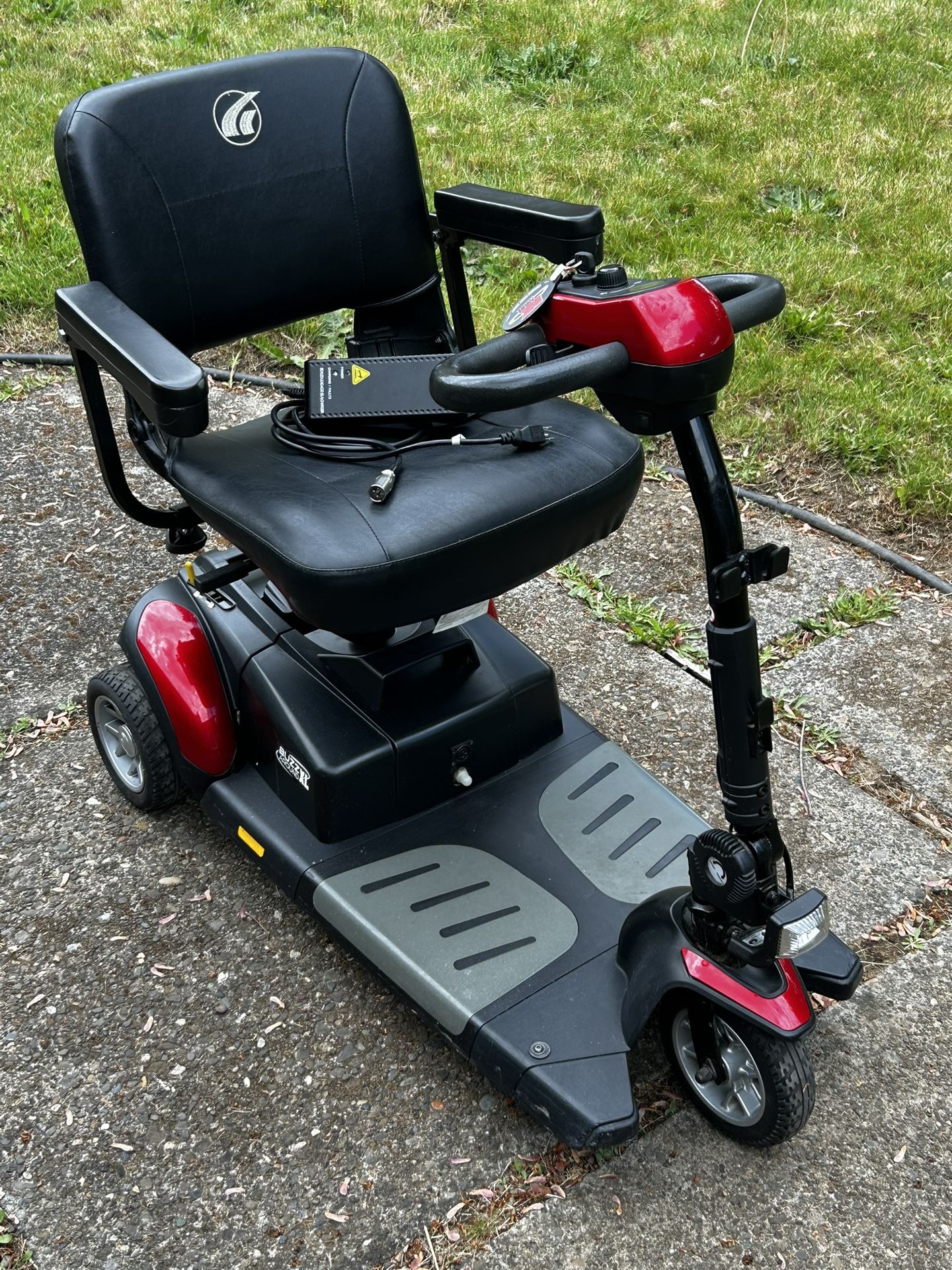 Golden Buzz around XL Scooter 