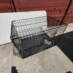 Dog Kennel 