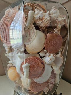 Glass Jar Filled with Assorted ocean Seashells desk table lamp
