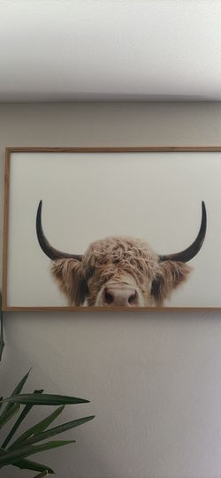 Highland cow print framed