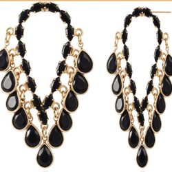 Brand New Beautiful Statement Earrings