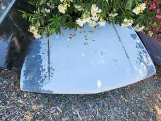 Hood for 98 chevy