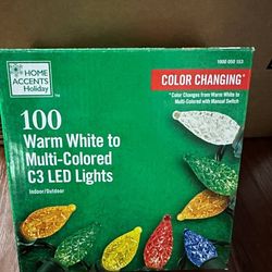 NEW Christmas 100L color changing C3 LED lights