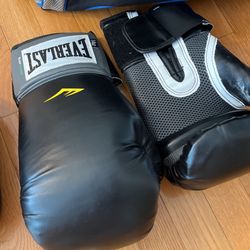 Punching Bag, Gloves and Punch Receiving Gloves