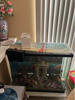 80 Gallon Cube Fish Tank