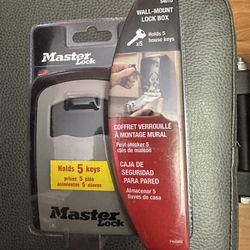 Master lock wall-mount lock box - $25