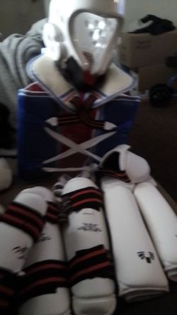 Full sparring protective gear set