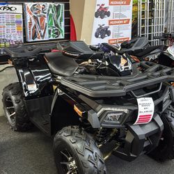 Daytona Edition ( Limited Gold Series 