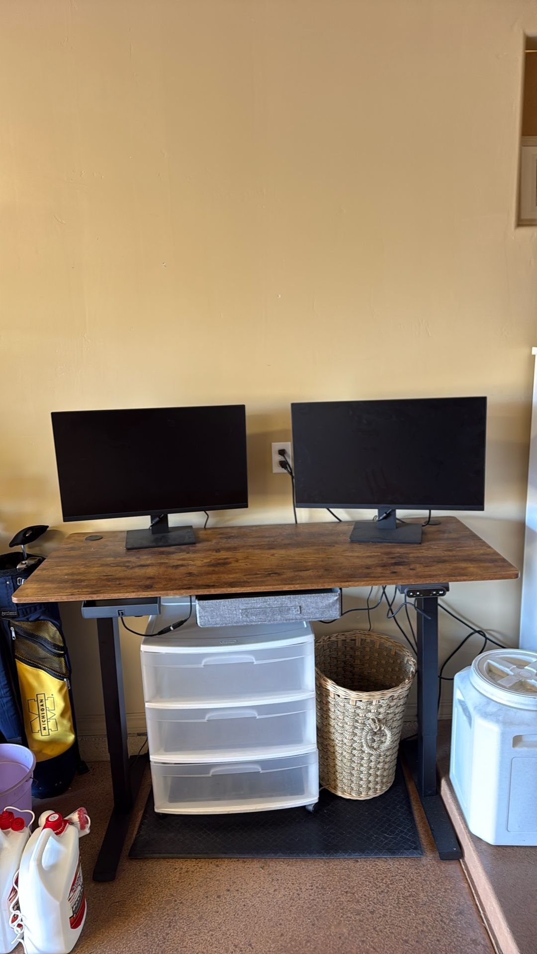 Two Nice Monitors
