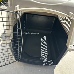 Top Paw Plastic Portable Dog Carrier
