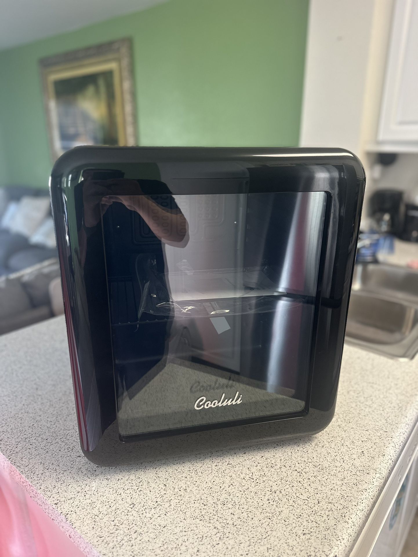Mini Fridge