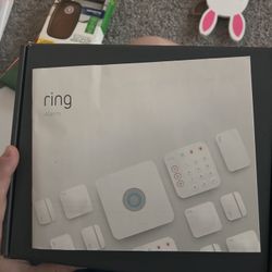 Ring Security 