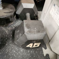 45lb Single Dumbbell Gym Weight $40