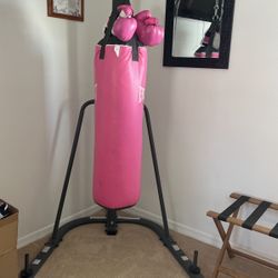 Punching Bag & Stand With Gloves