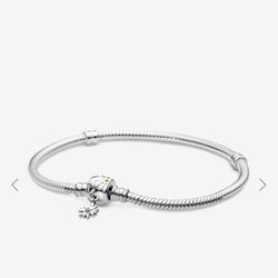 Pandora bracelet and/or charm