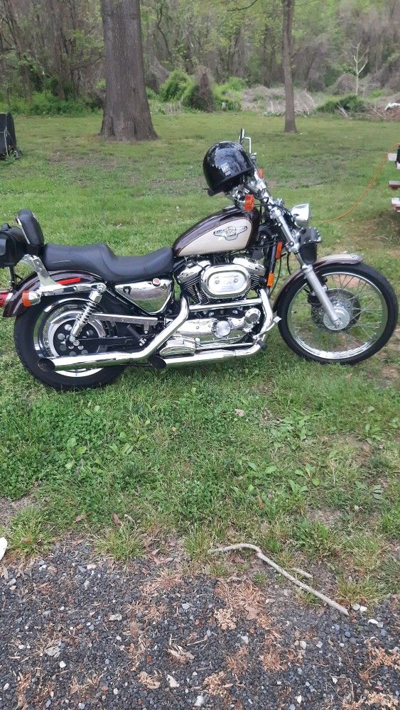 19998 Harley Davidson Sportster Xl 1200  Screaming Eagle Stage2 Exhaust Anniversary Edition  18,000 Miles