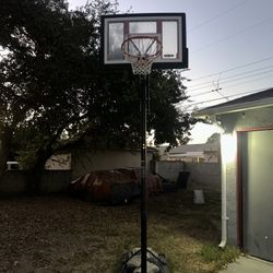 Basketball Hoop