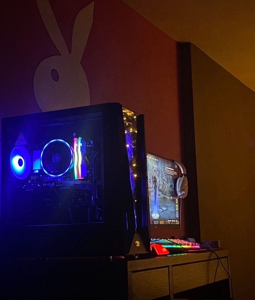 RX 6600 PC (iBuyPower Brand) & 75Hz Monitor (LG Brand)