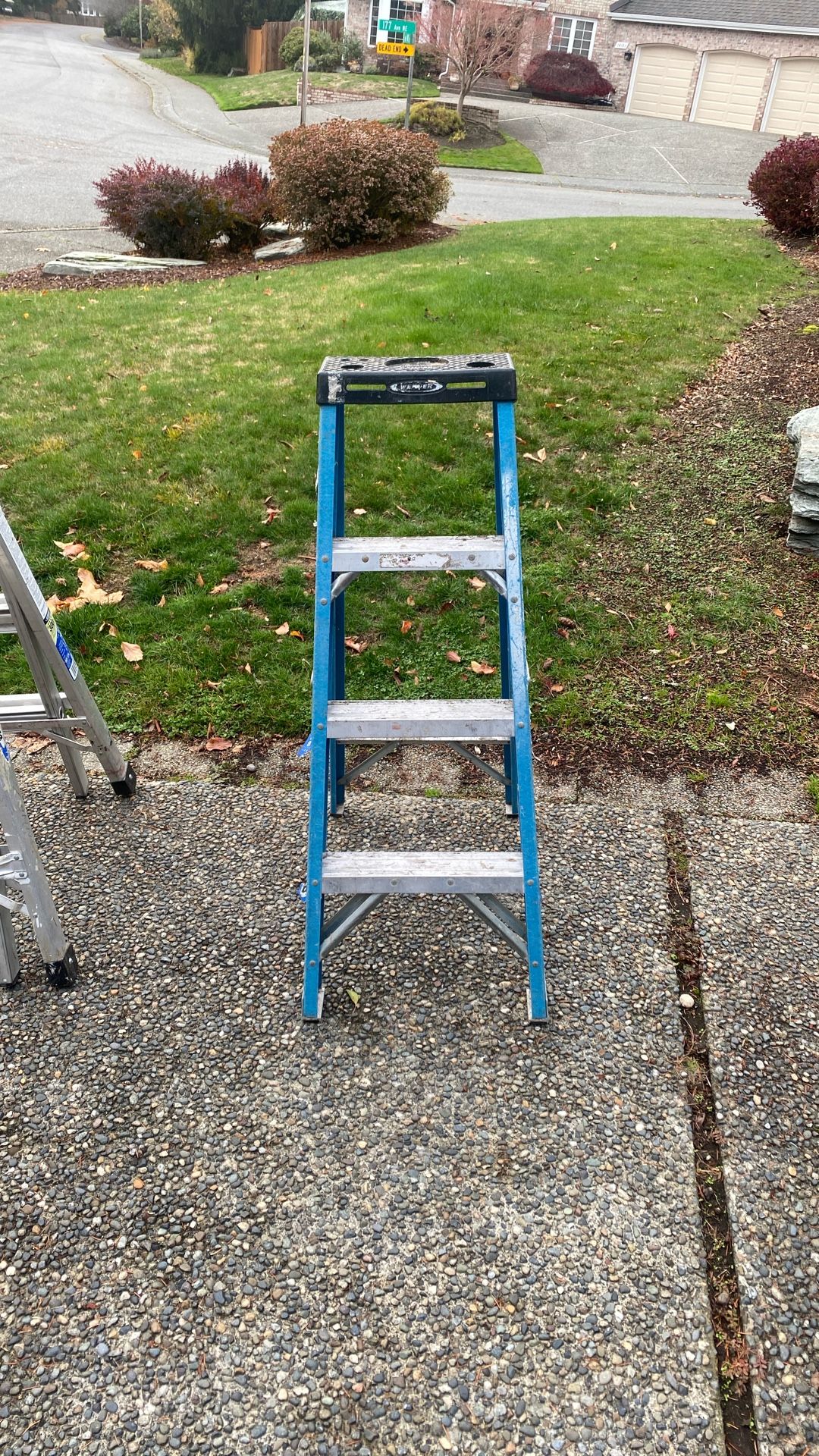 Werner 3 Step Ladder