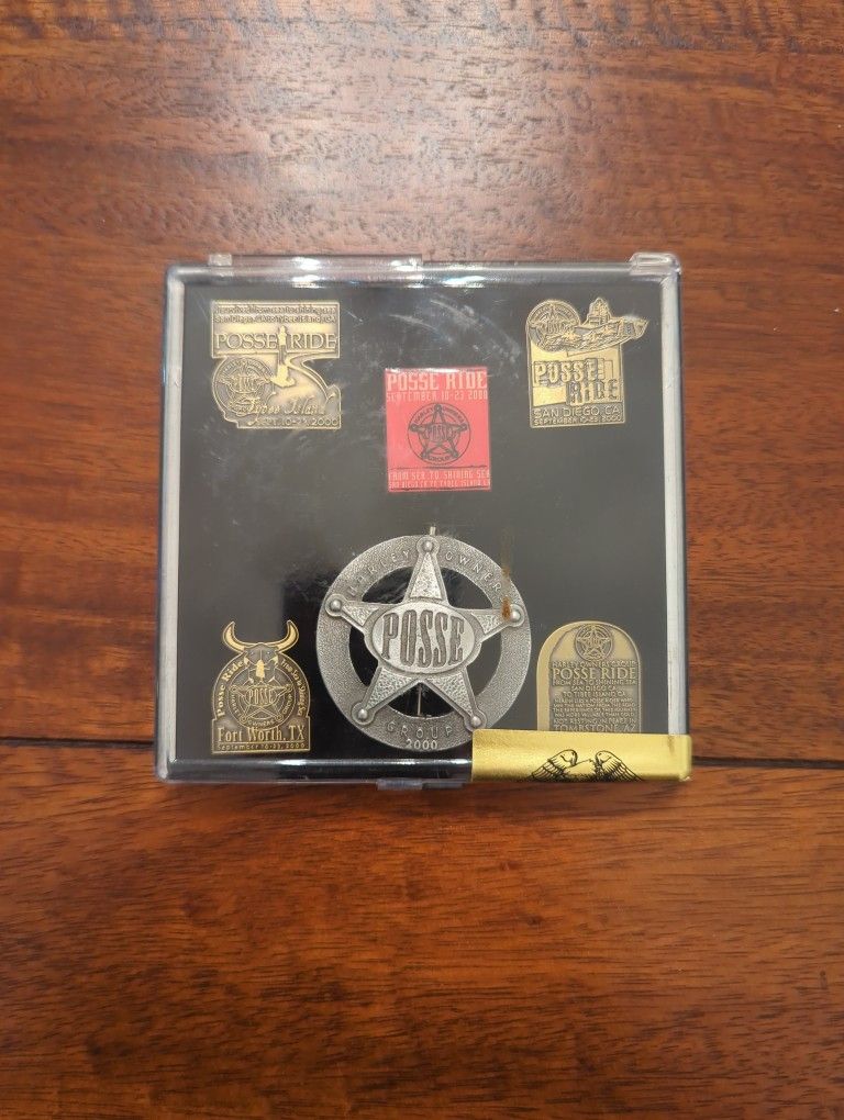 Harley Davidson Pin Collection 