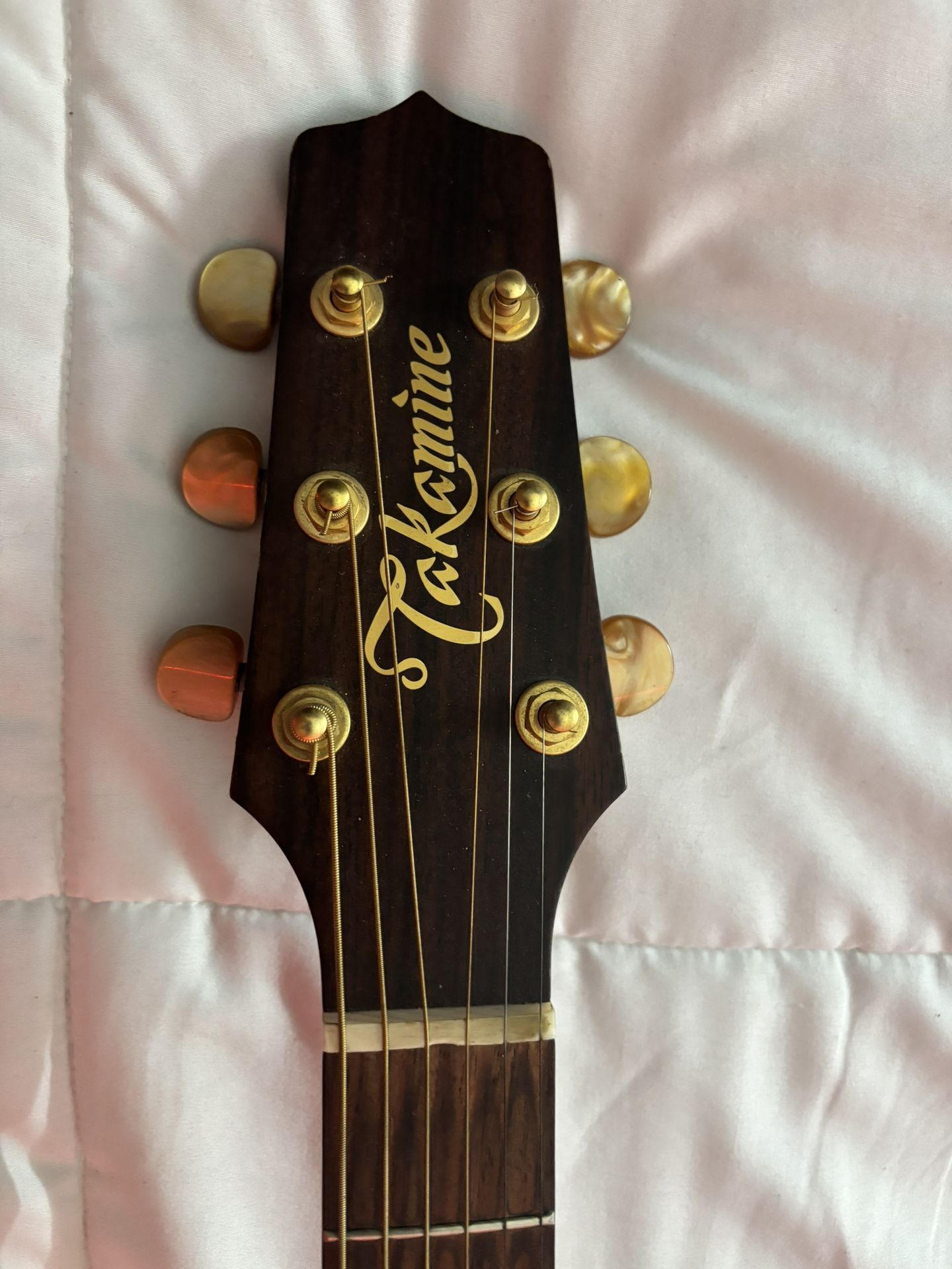 Takamine P3 6 String Acoustic
