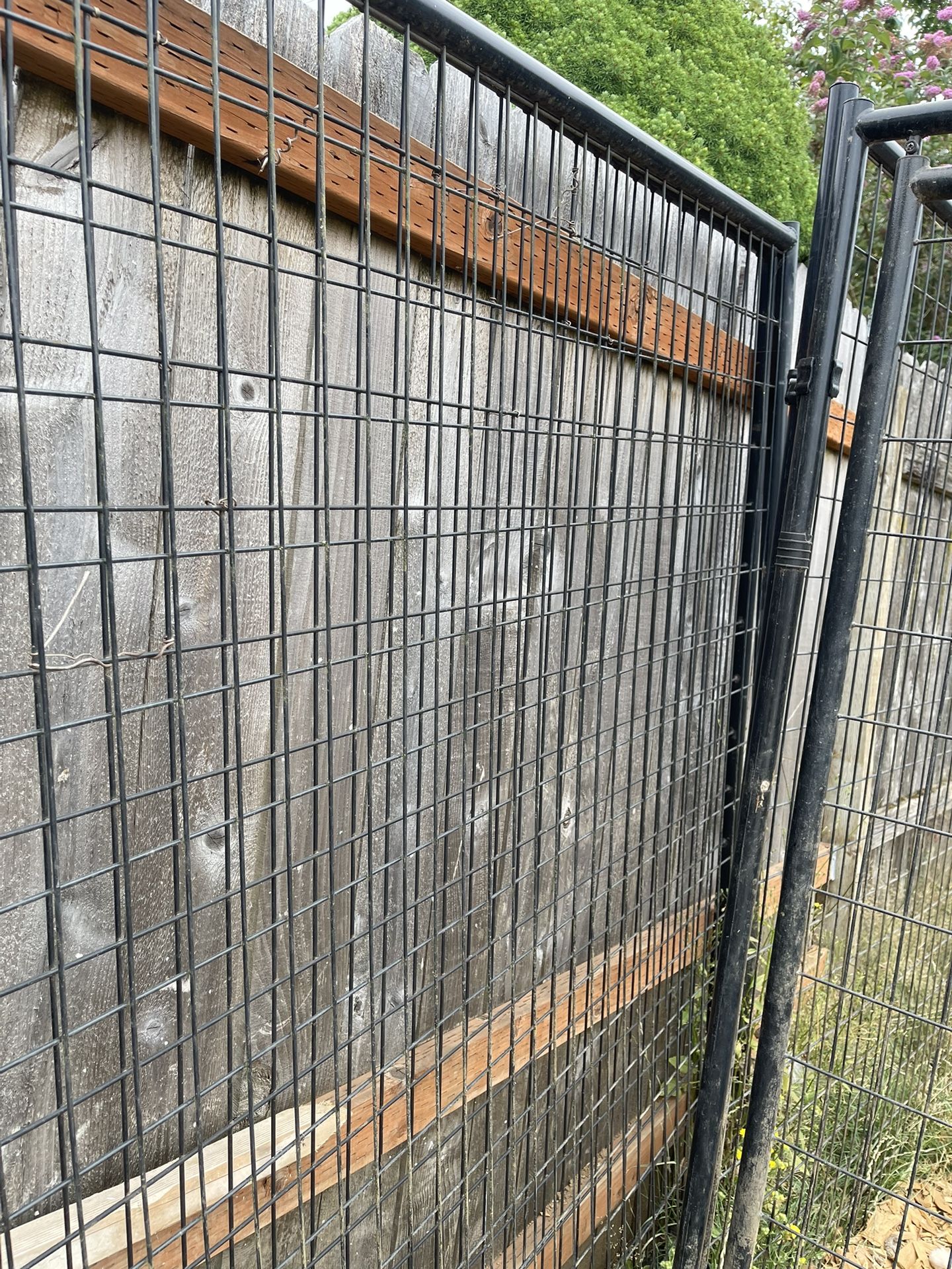 Dog Kennel/ Run 10x10