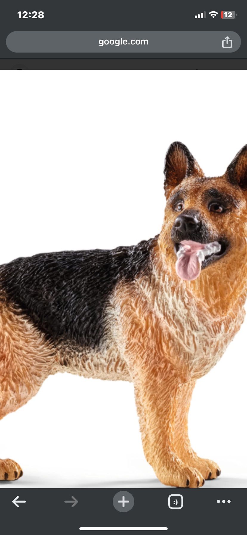 2 Years Old German Shepherd 