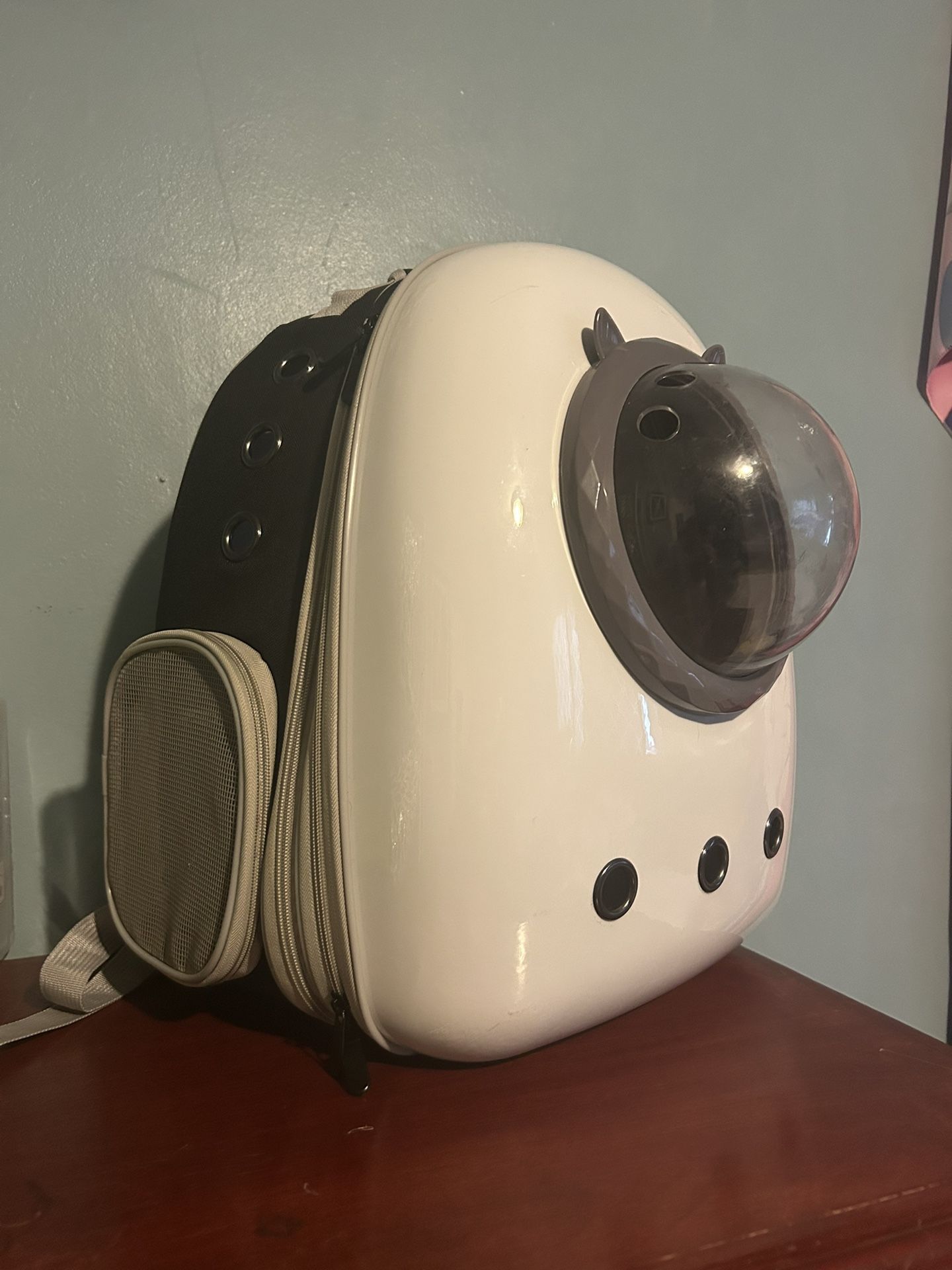 Cat Backpack