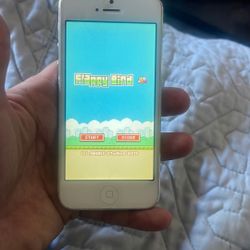 Flappy Birds Game On Iphone 14g60