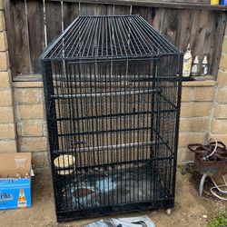 Bird Cage