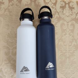2 Stainless Steel Water Bottles