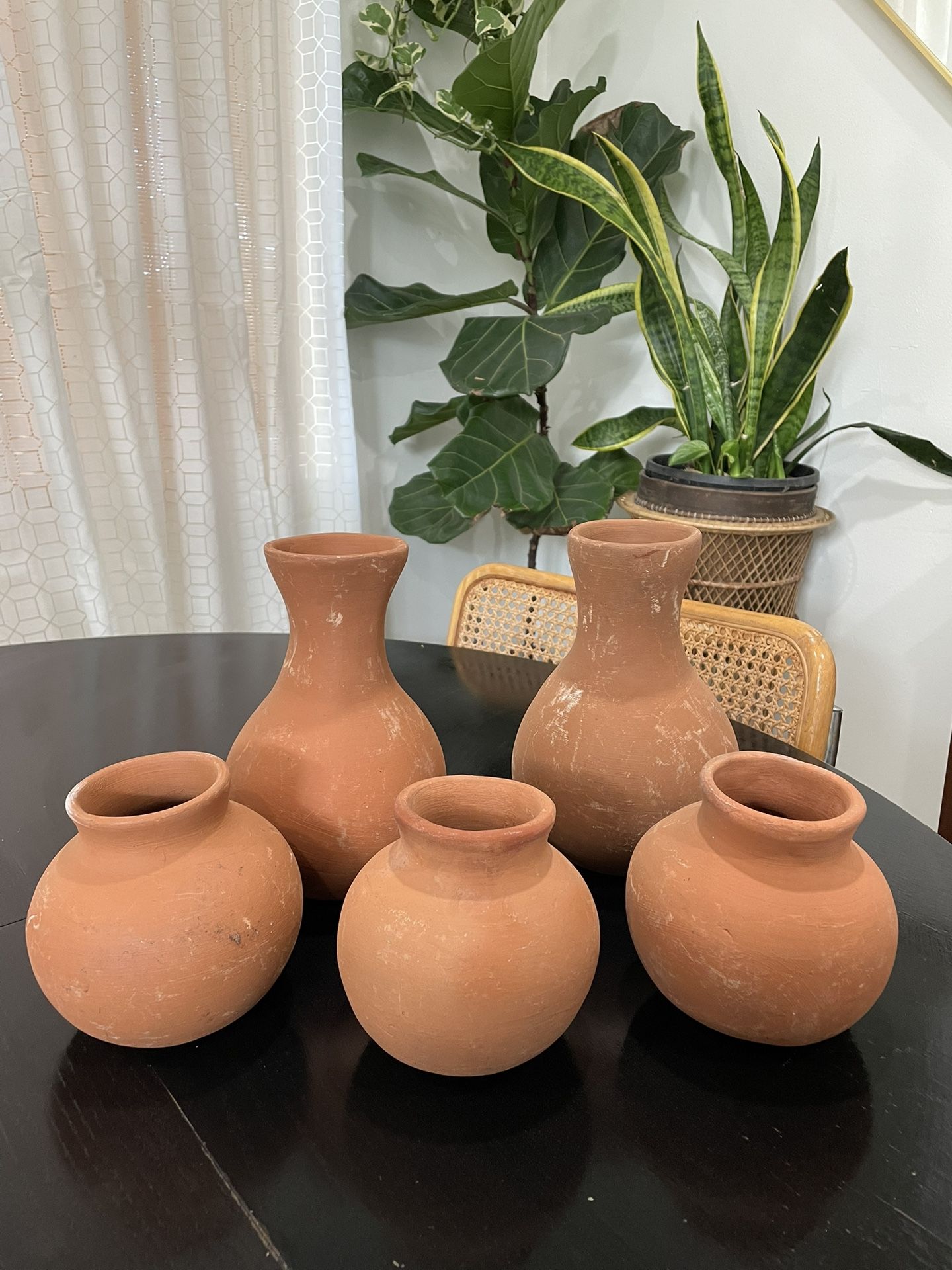 Terracotta Pots