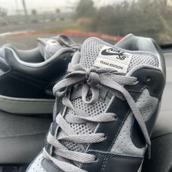 Sb Nike Shoes Size 10