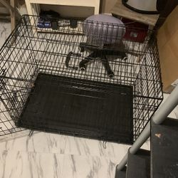 Dog Training Kennel 
