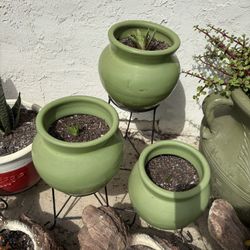 3 Pots Size 3 Feet $55