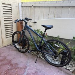 Schwinn Bike from Target