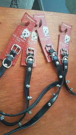 Champion Spike Collar