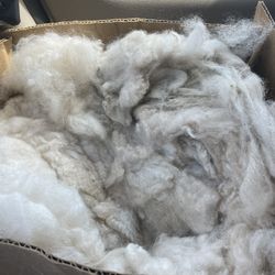 Free Alpaca Wool/roving