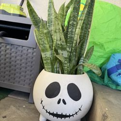 Nightmare Before Christmas, Jack Planter