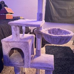Cat tree Forsale 
