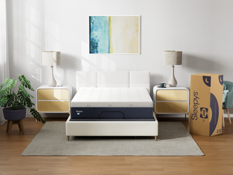 King Size - By Sealy Memory Foam Plush Mattress