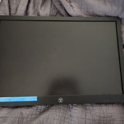 22" Widescreen Monitor